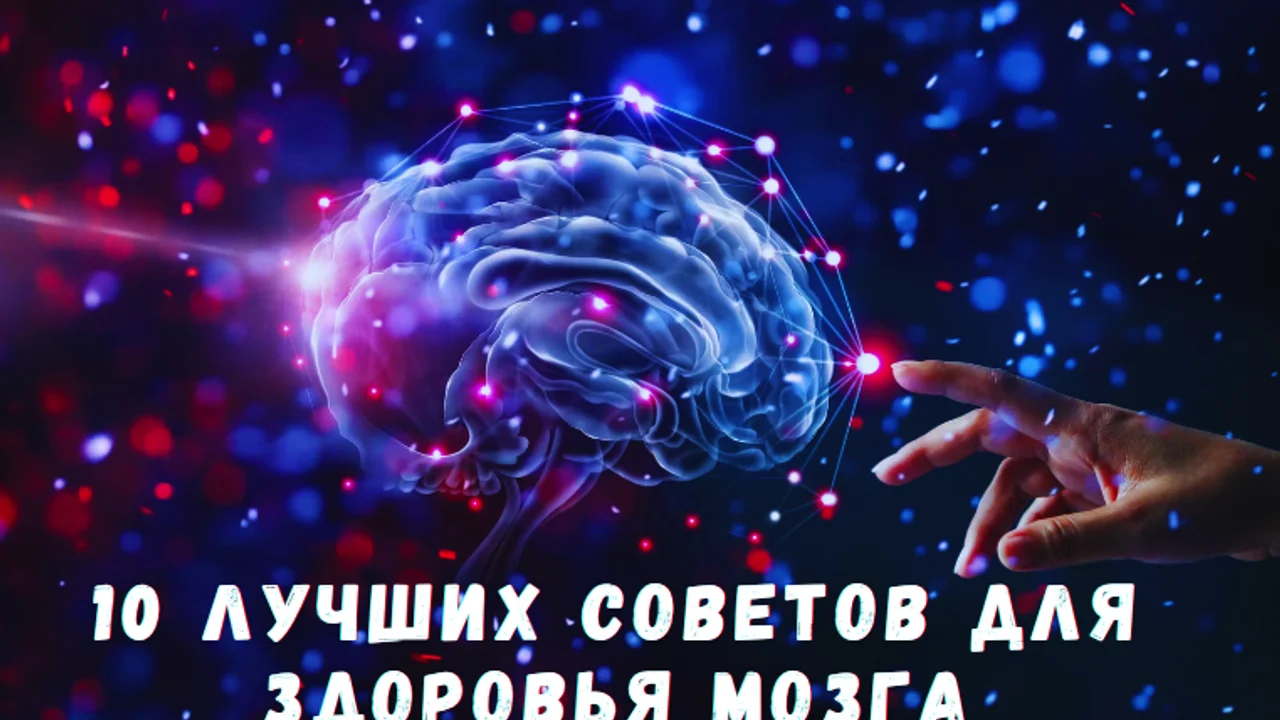 10 лучших советов для здоровья мозга