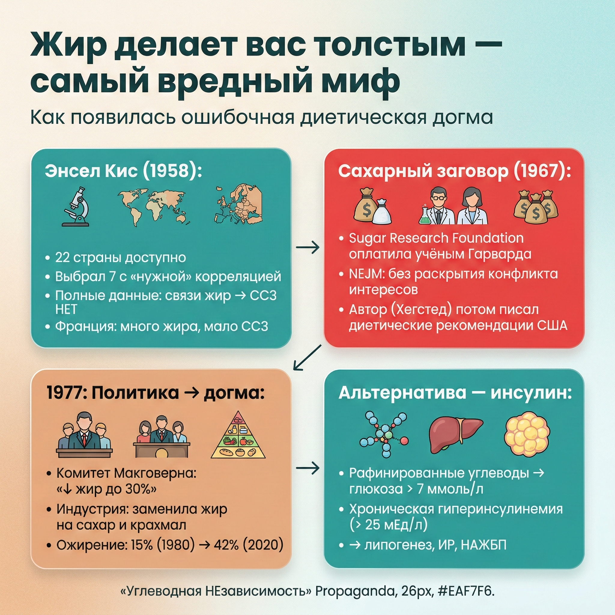 Инфографика: Жир делает вас толстым — как появился самый вредный миф в нутрициологии