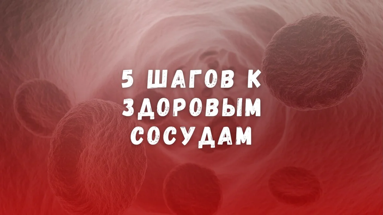 5 шагов к здоровым сосудам