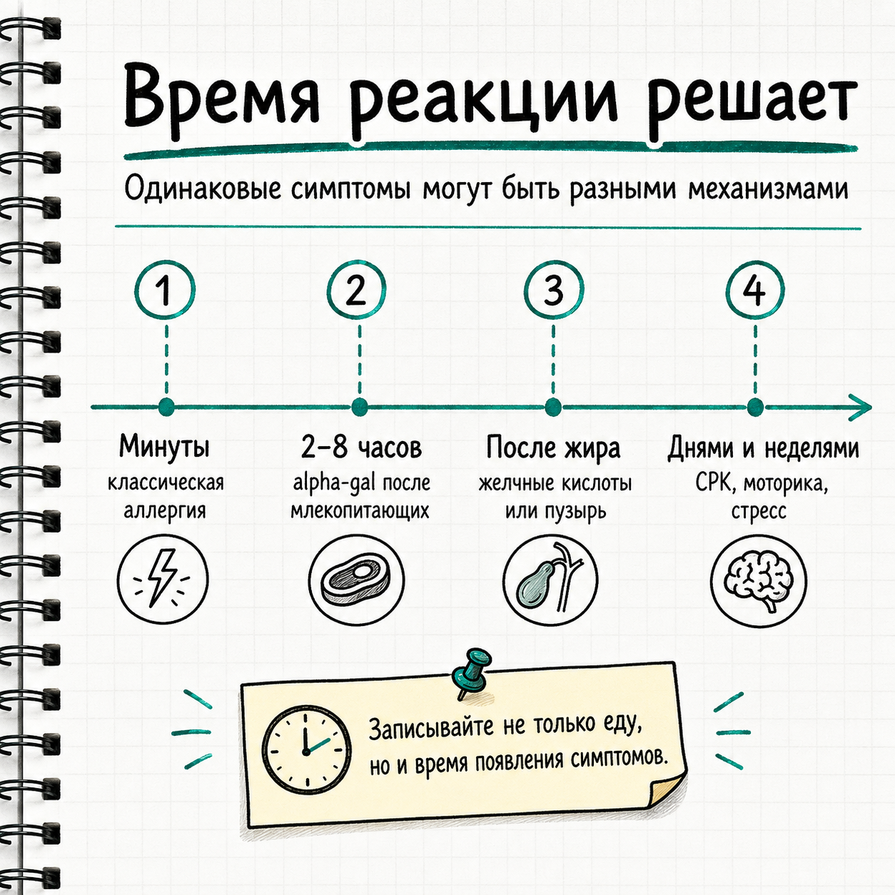 Время реакции решает: минуты, часы, жир и хронический сценарий