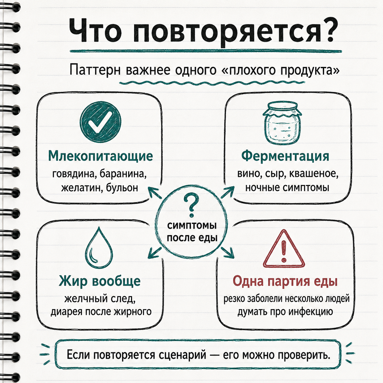 Что повторяется после еды: животные продукты, ферментация, жир или партия еды