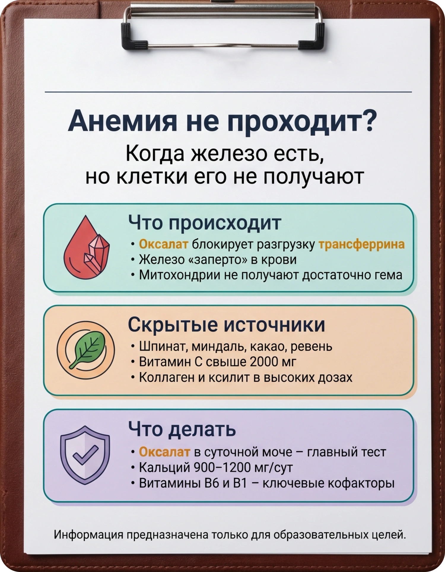 Анемия и оксалаты: источники и решение