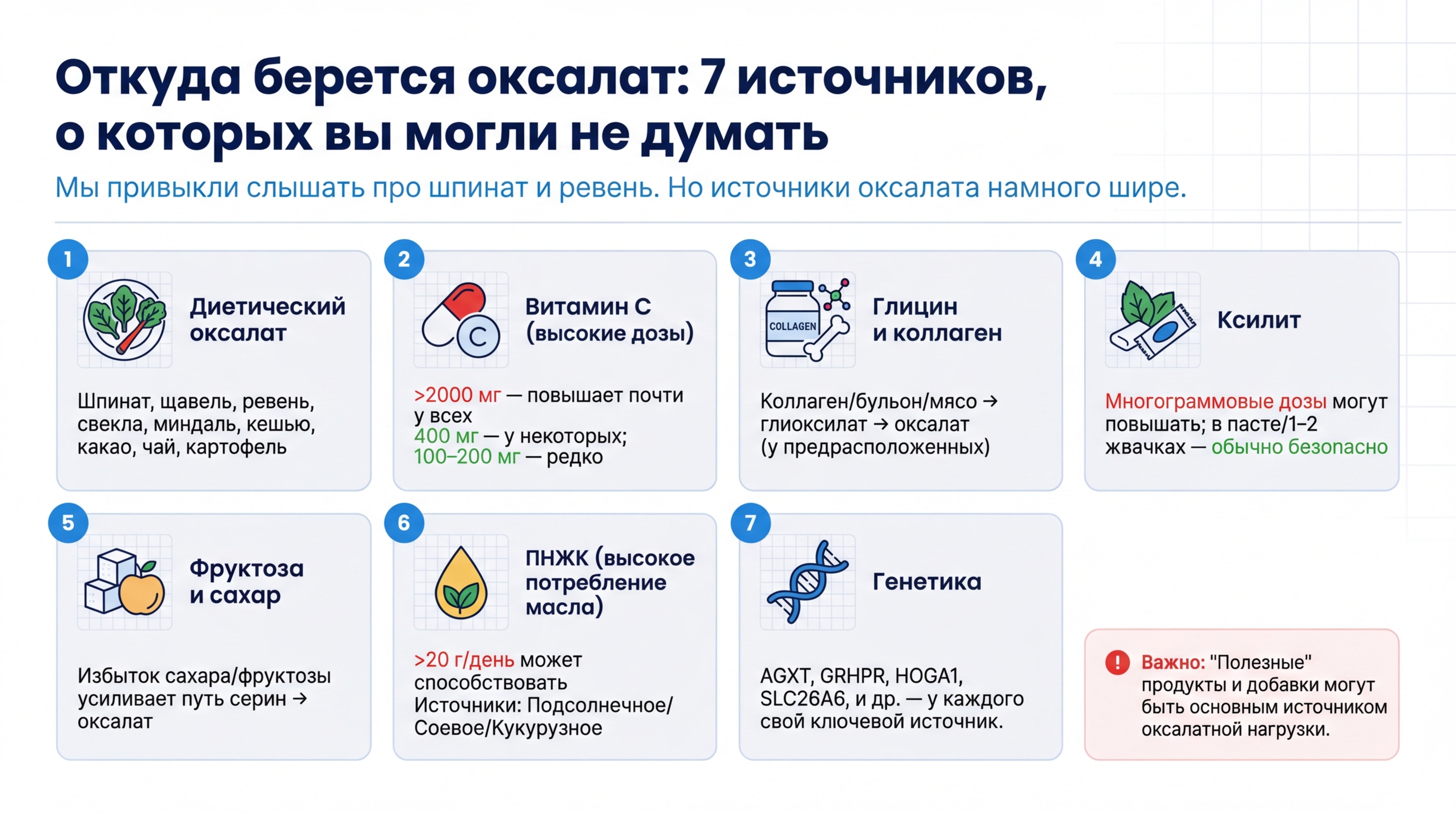 Откуда берётся оксалат: 7 источников