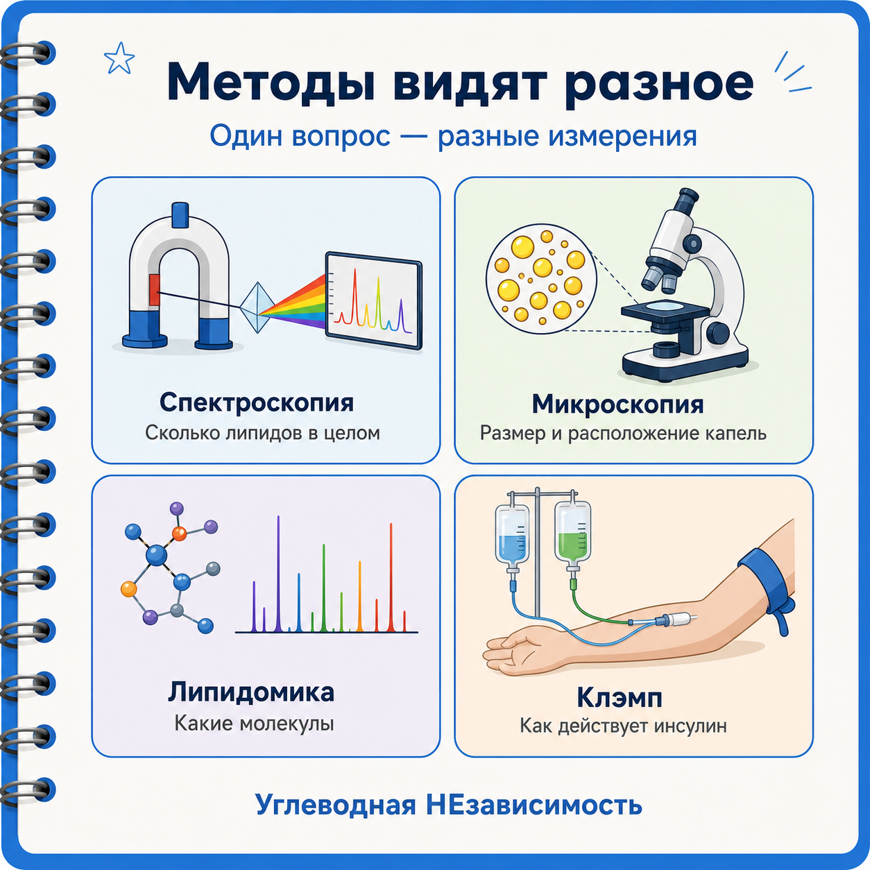 Спектроскопия, микроскопия, липидомика и клэмп отвечают на разные вопросы о внутримышечных липидах