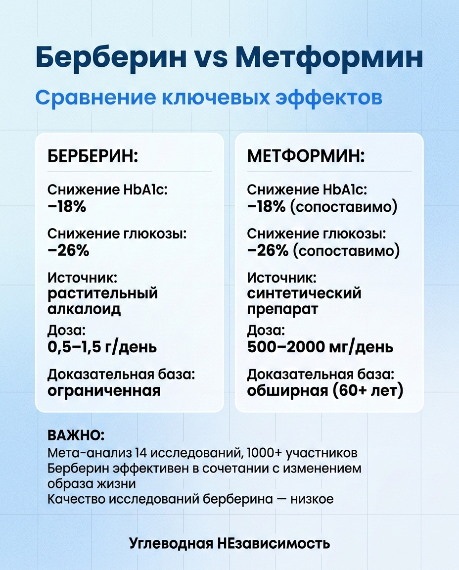 Берберин vs Метформин: сравнение ключевых эффектов