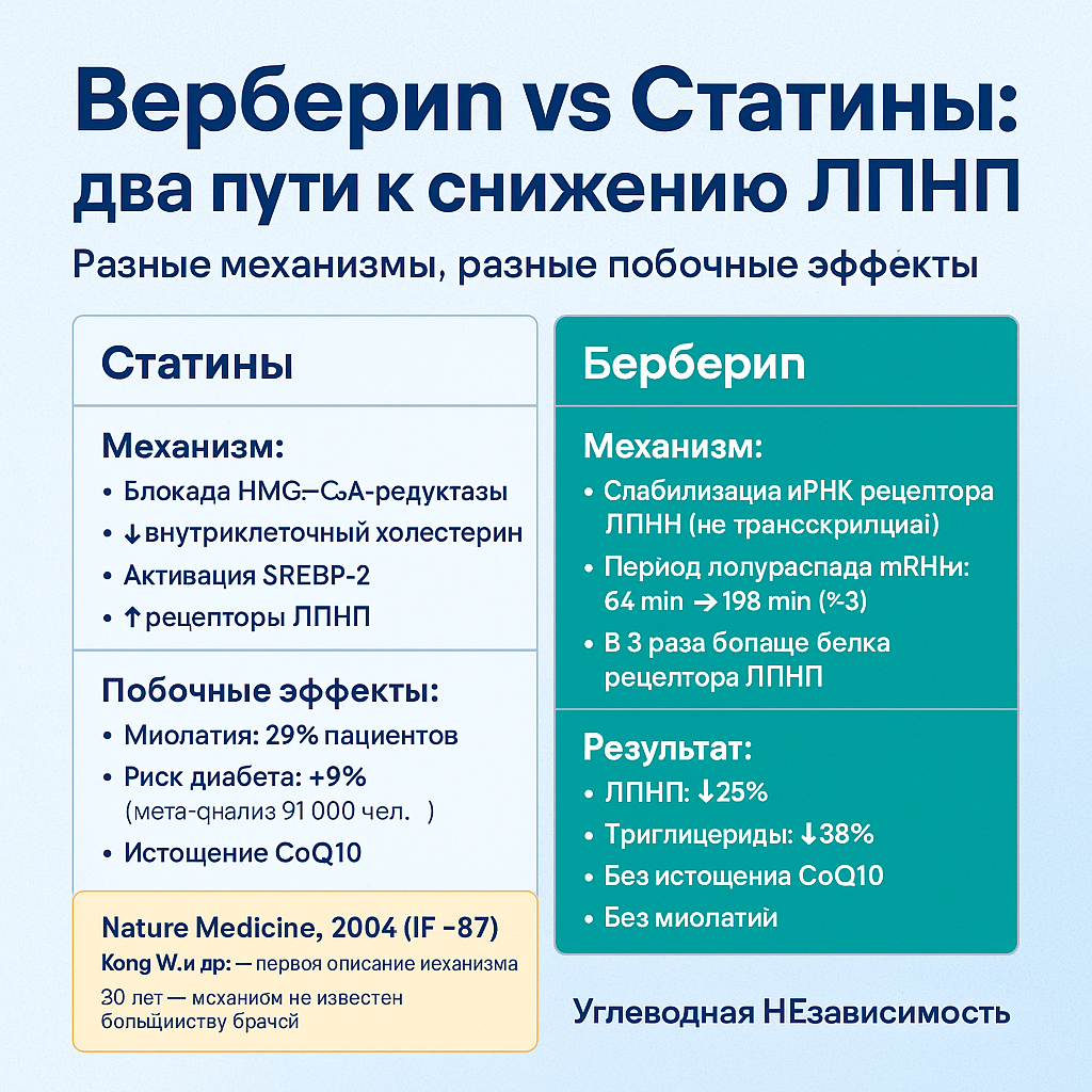 Инфографика к статье