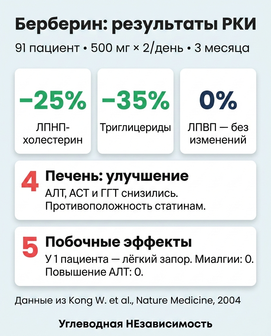 Инфографика: Берберин и холестерин: как он снижает ЛПНП и триглицериды