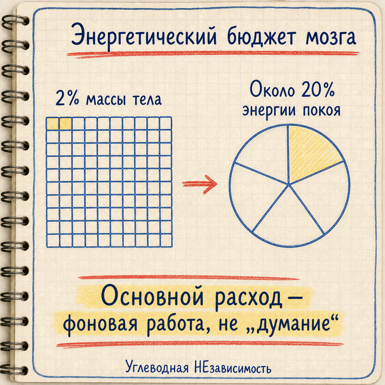 Энергетический бюджет мозга: 2% массы, около 20% энергии покоя