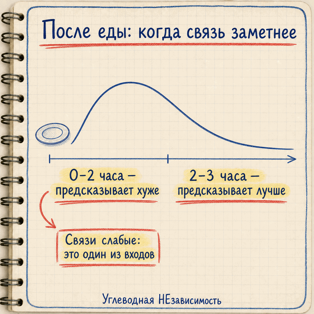 Голод предсказывает провал через 2–3 часа, а не пик в первые два
