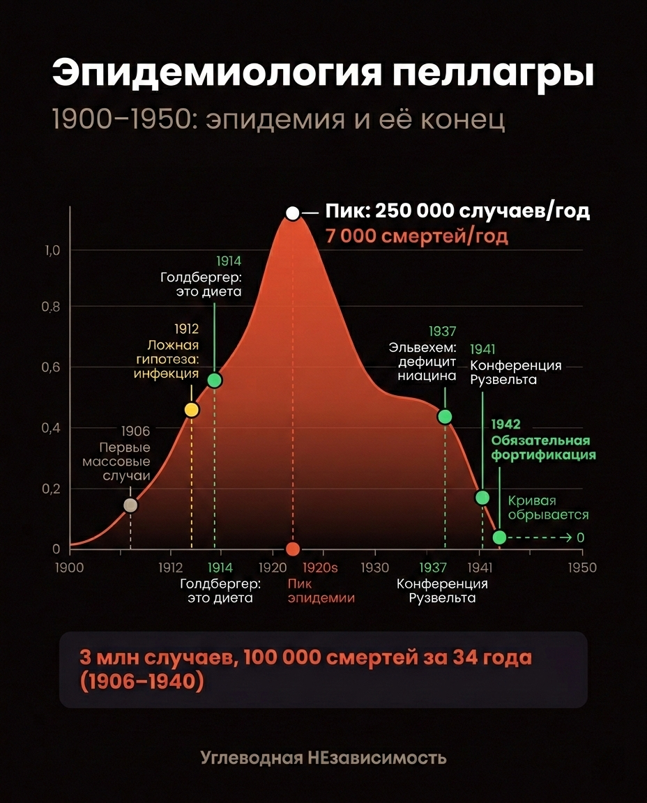 Эпидемиология пеллагры: 1900–1950