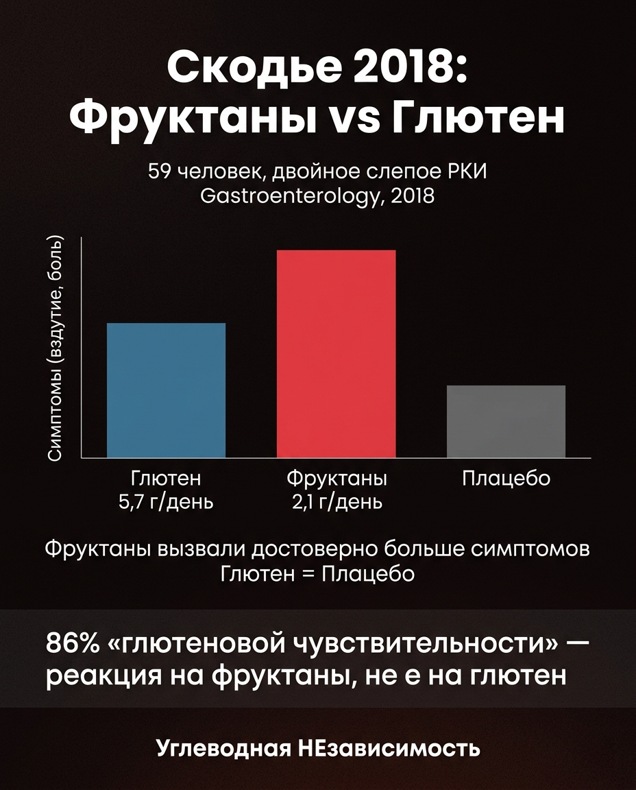 Скодье 2018: Фруктаны vs Глютен