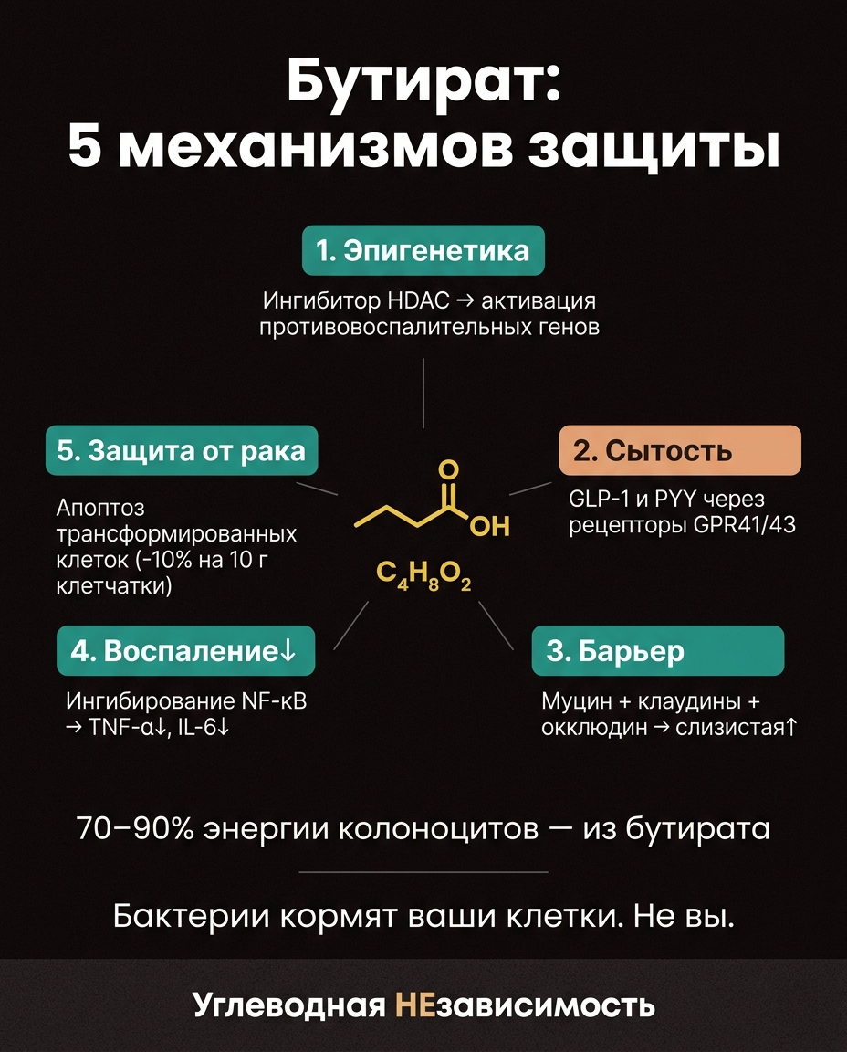 Бутират: 5 механизмов