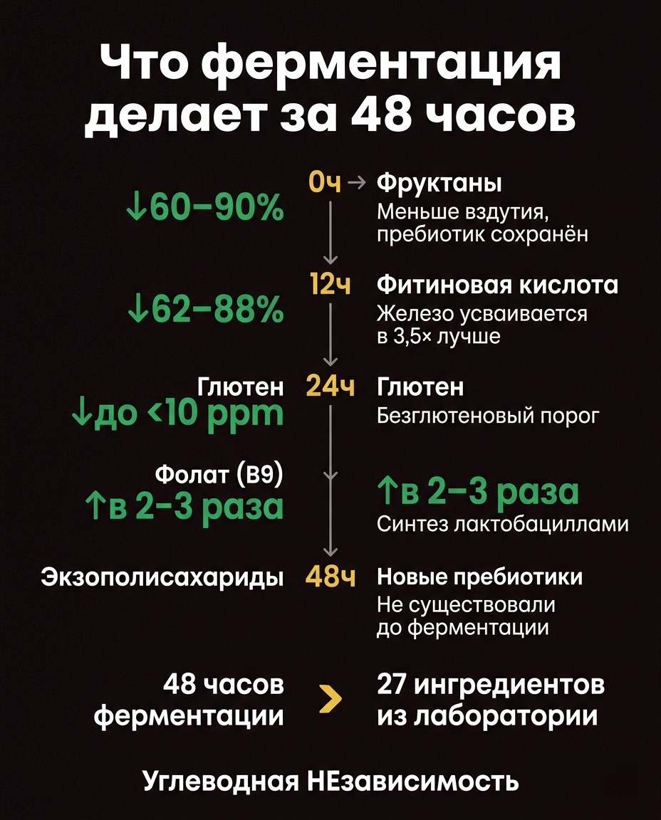 Что ферментация делает за 48 часов