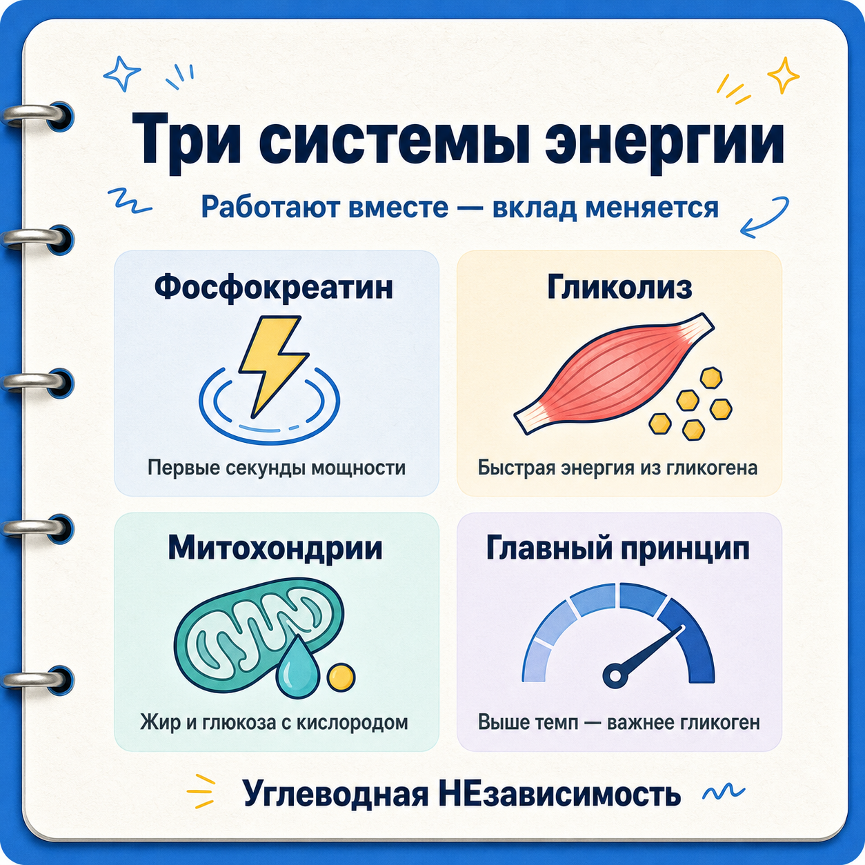 Три системы энергии: фосфокреатин, гликолиз и митохондриальное окисление