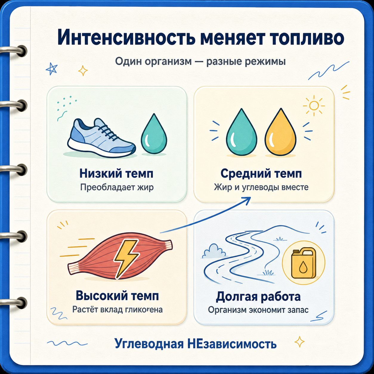 Как интенсивность и длительность нагрузки меняют выбор топлива