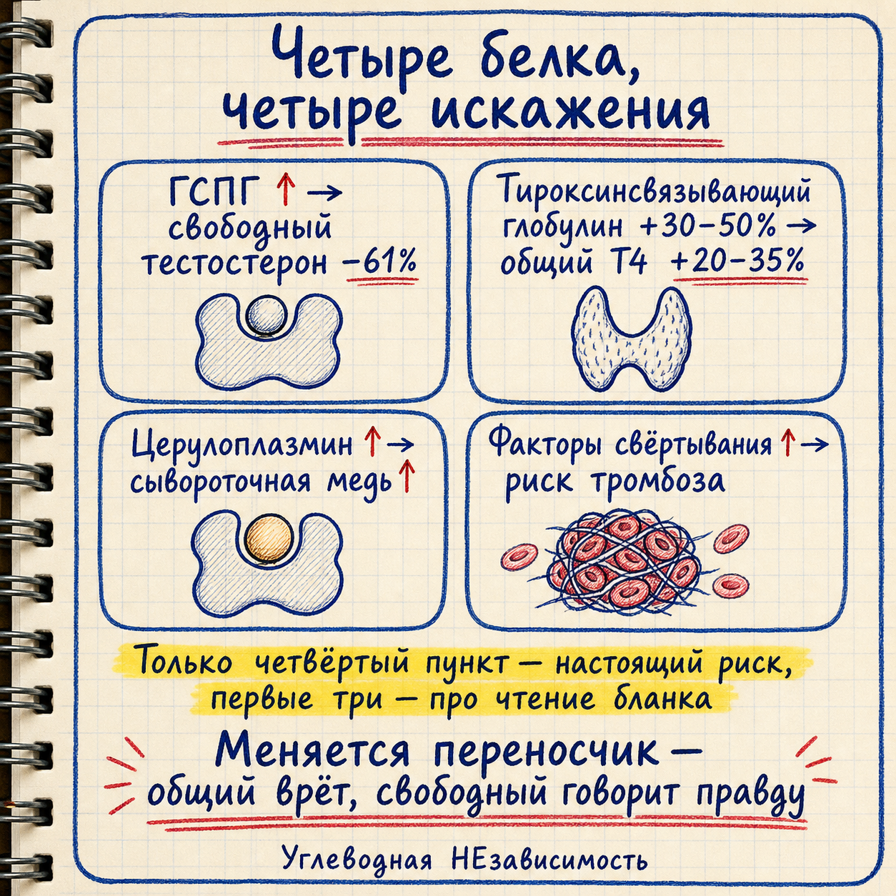 Четыре транспортных белка и что происходит с общим и свободным показателем