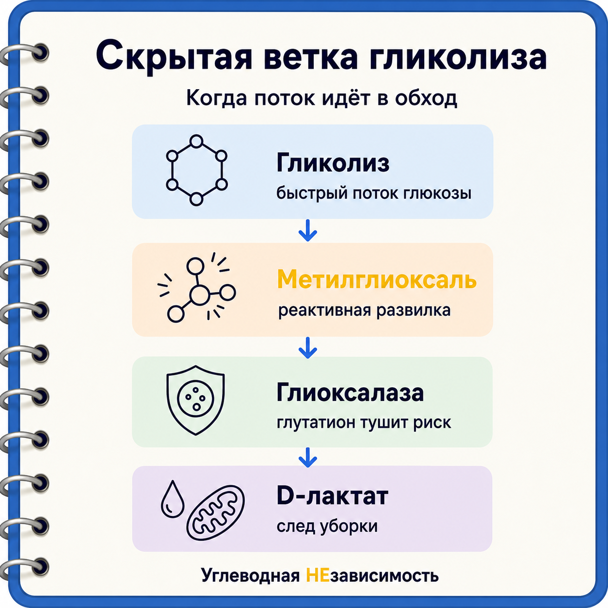 Скрытая ветка гликолиза: метилглиоксаль, глиоксалаза и D-лактат
