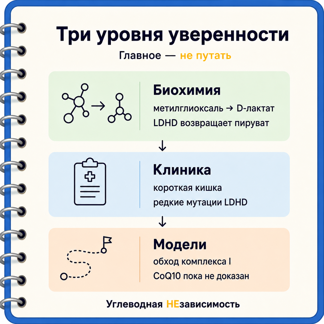 Что в теме D-лактата доказано, а что остаётся моделью