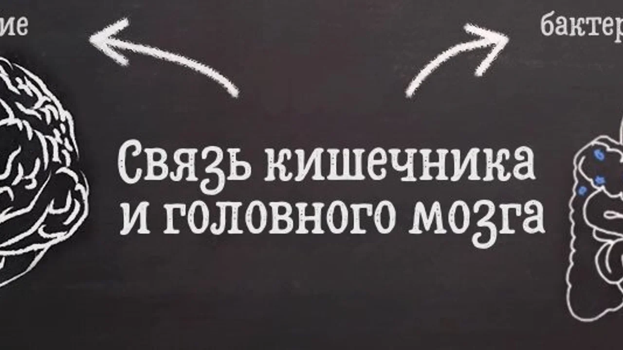 Депрессия, микробиом кишечника и витамины
