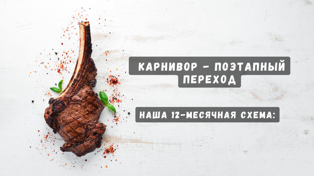Диета карнивор - поэтапный переход