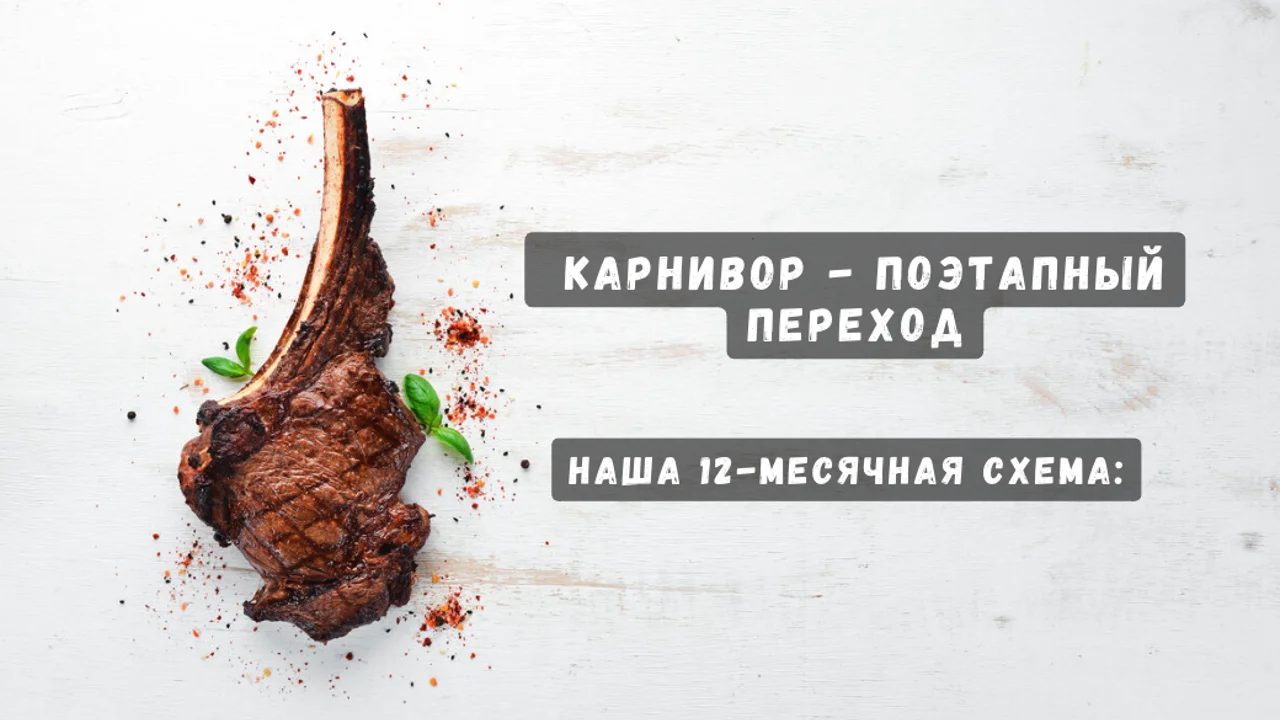 Диета карнивор - поэтапный переход