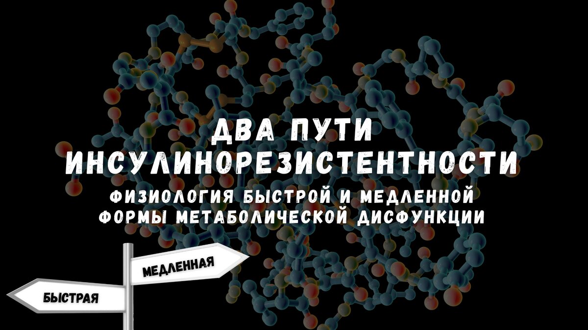 Два пути к инсулинорезистентности