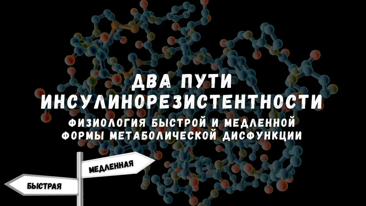 Два пути к инсулинорезистентности