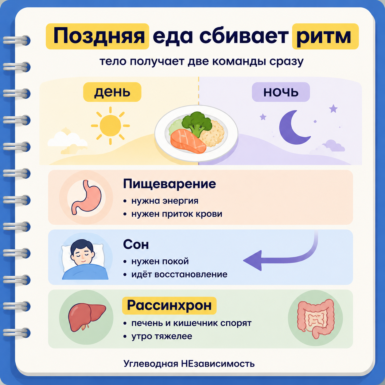 Поздняя еда сбивает ритм