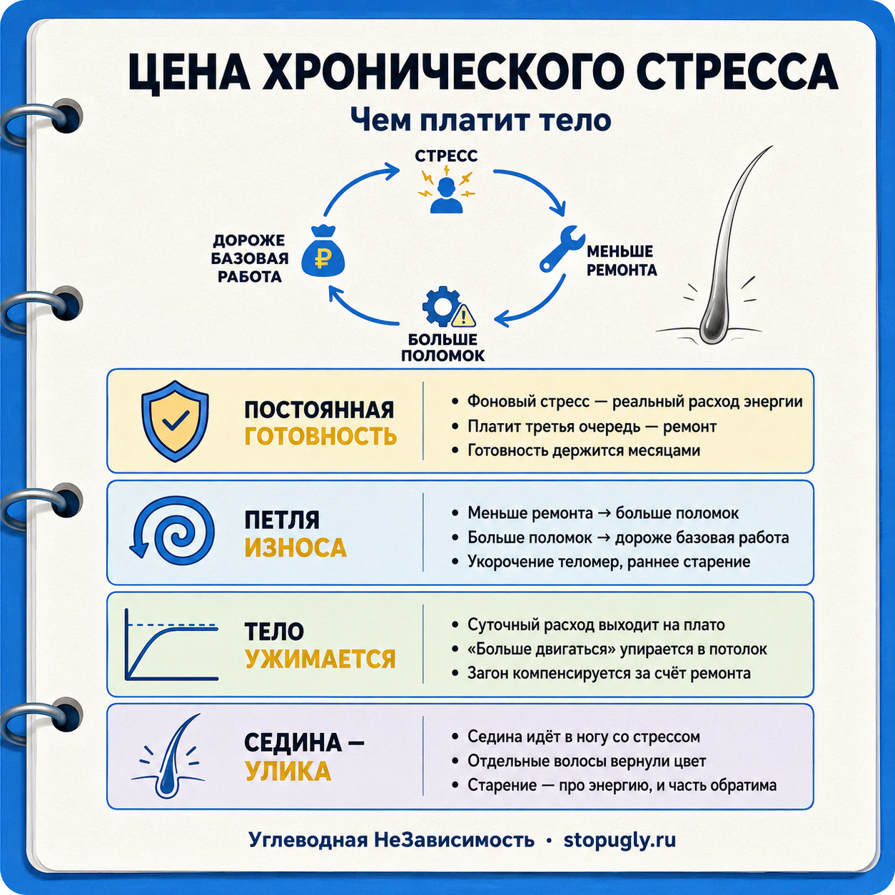 Цена хронического стресса: постоянная «боевая готовность» крадёт энергию у ремонта, запускает петлю износа и ускоряет старение клеток