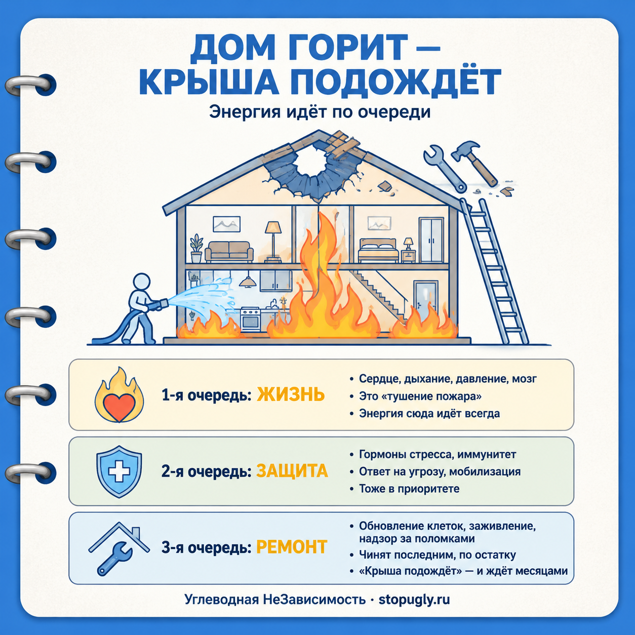 Метафора горящего дома: энергия идёт по очереди — сначала «тушение пожара» (жизнь) и защита, и только потом ремонт; «крыша подождёт» месяцами