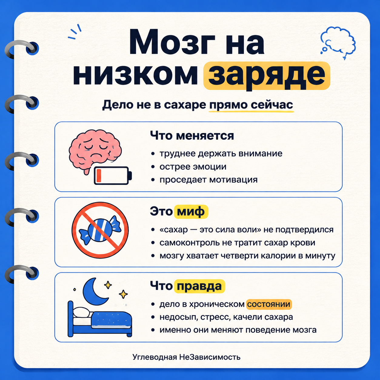 Мозг на низком заряде ведёт себя иначе: слабее контроль, острее эмоции — и петля «меньше энергии, хуже решения»