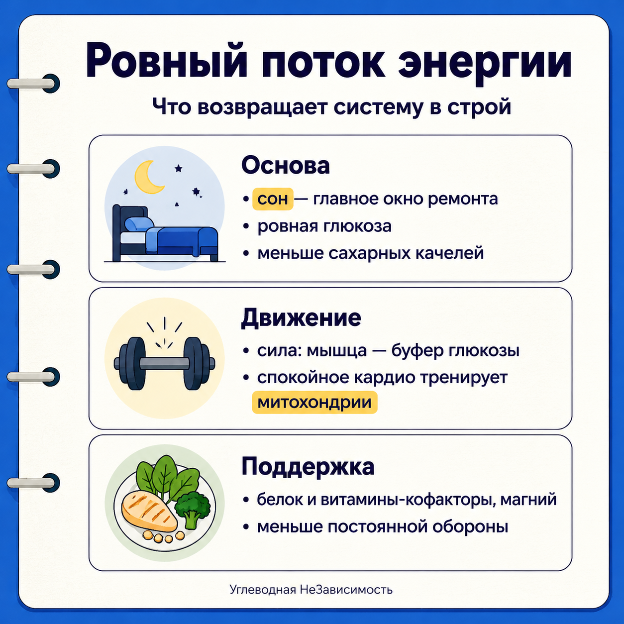 Что возвращает ровный поток энергии: сон, ровная глюкоза, сила, зона 2, белок и кофакторы