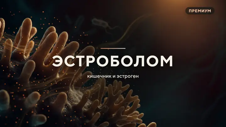 Эстроболом: как кишечник возвращает эстроген в кровь