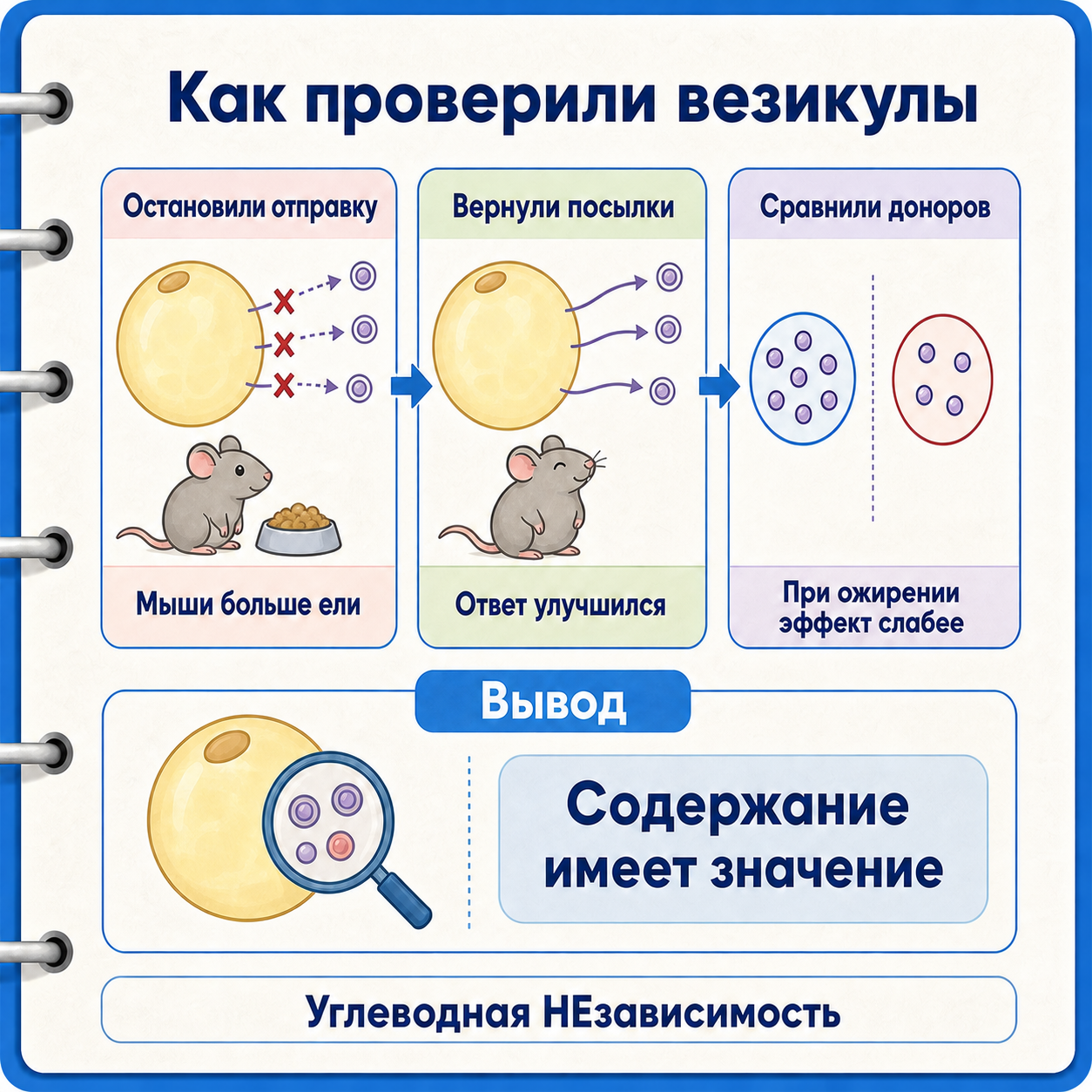 Последовательность опытов: остановка секреции, возврат везикул и сравнение доноров