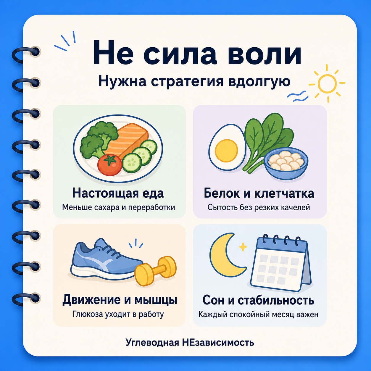 Инфографика: стратегия удержания веса — настоящая еда, белок и клетчатка, движение, сон и стабильность