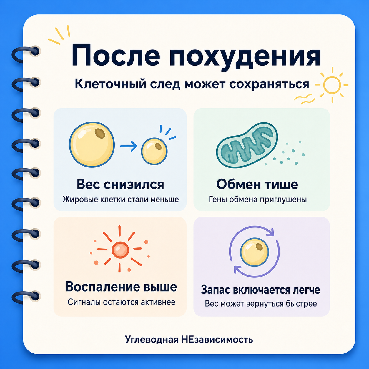 Инфографика: даже через два года после похудения гены обмена веществ приглушены, а гены воспаления активны