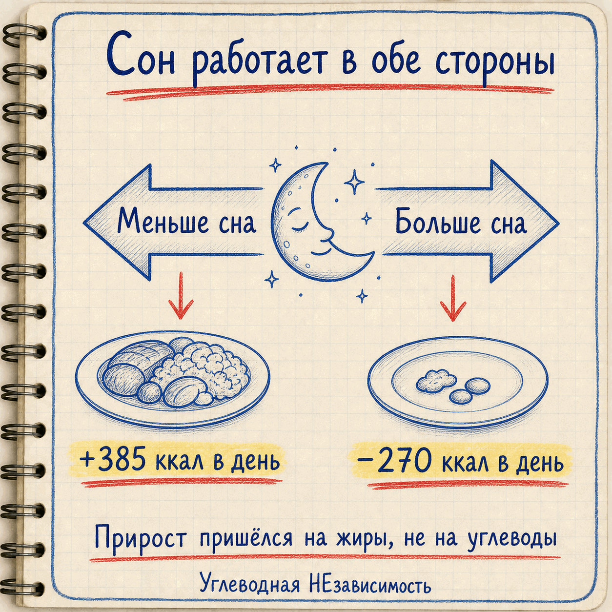 Сон работает в обе стороны: меньше сна — больше едим, больше сна — меньше