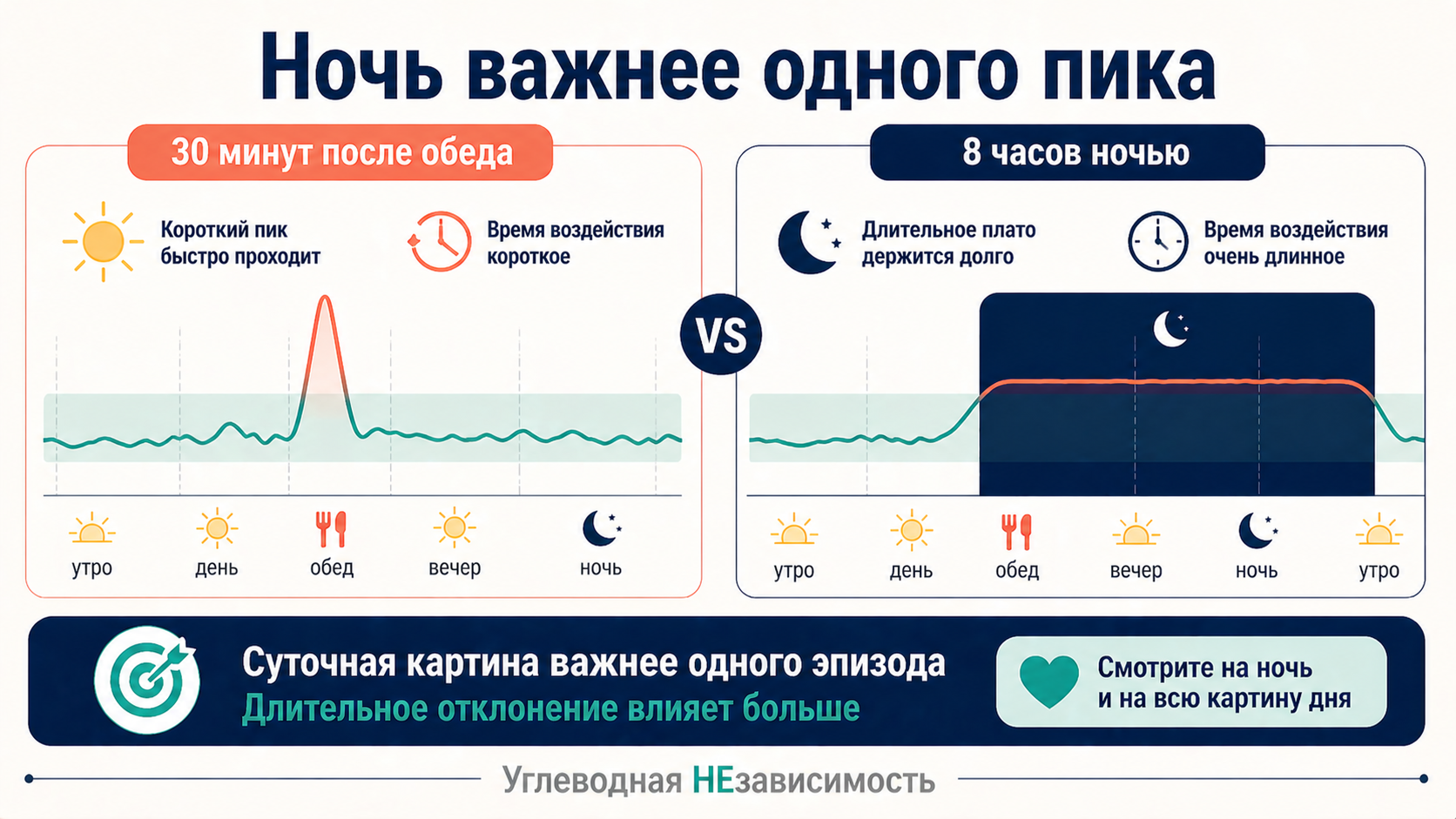 Ночь важнее одного пика: длительное ночное плато влияет сильнее, чем короткий подъём после обеда