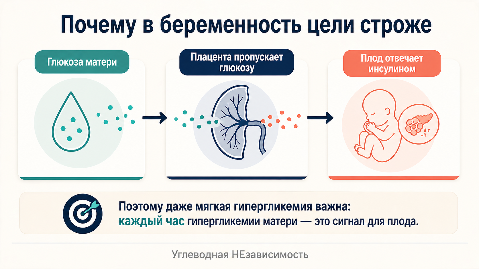 Почему в беременность цели строже: глюкоза матери проходит через плаценту, а плод отвечает собственным инсулином
