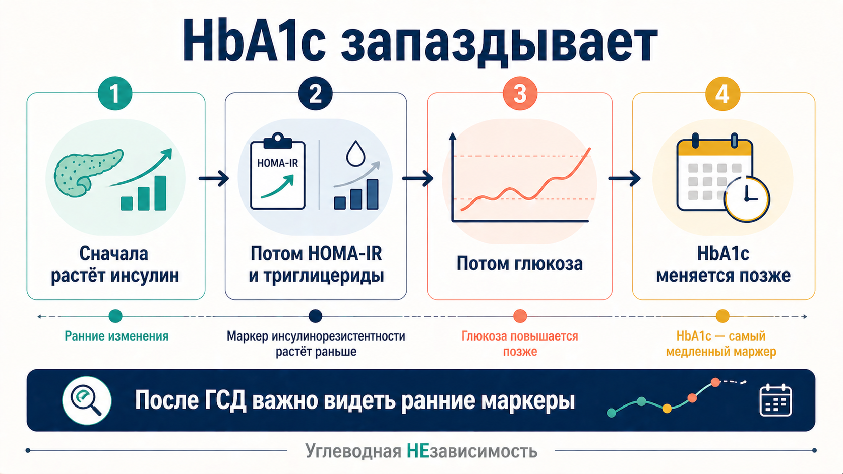 HbA1c в послеродовом периоде может опаздывать: раньше меняются инсулин, HOMA-IR и триглицериды