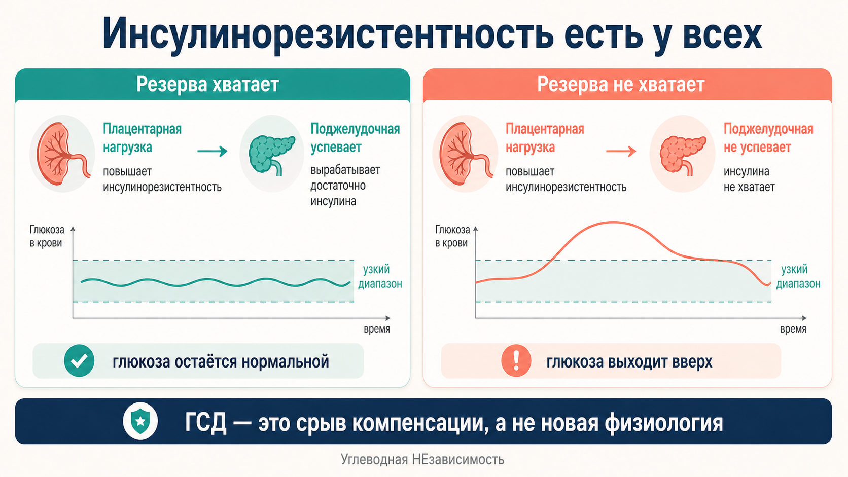 Инсулинорезистентность есть у всех: когда резерва поджелудочной хватает, глюкоза остаётся нормальной; когда не хватает, она выходит вверх