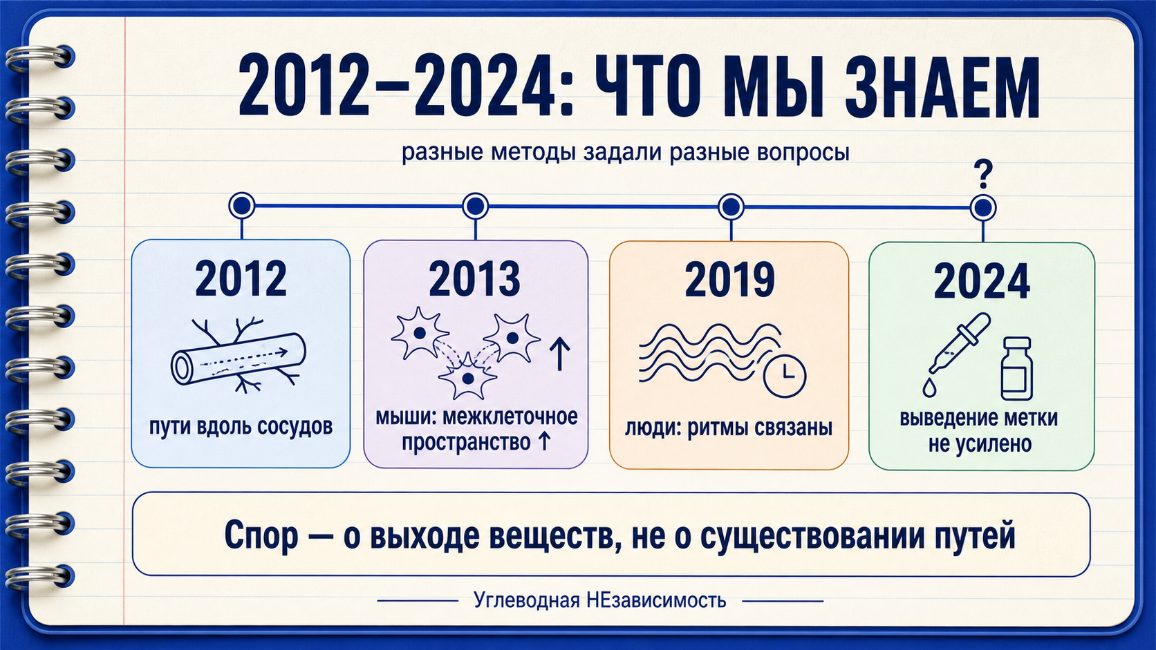 Глимфатическая система: что установлено исследованиями 2012–2024 годов и о чём продолжается спор