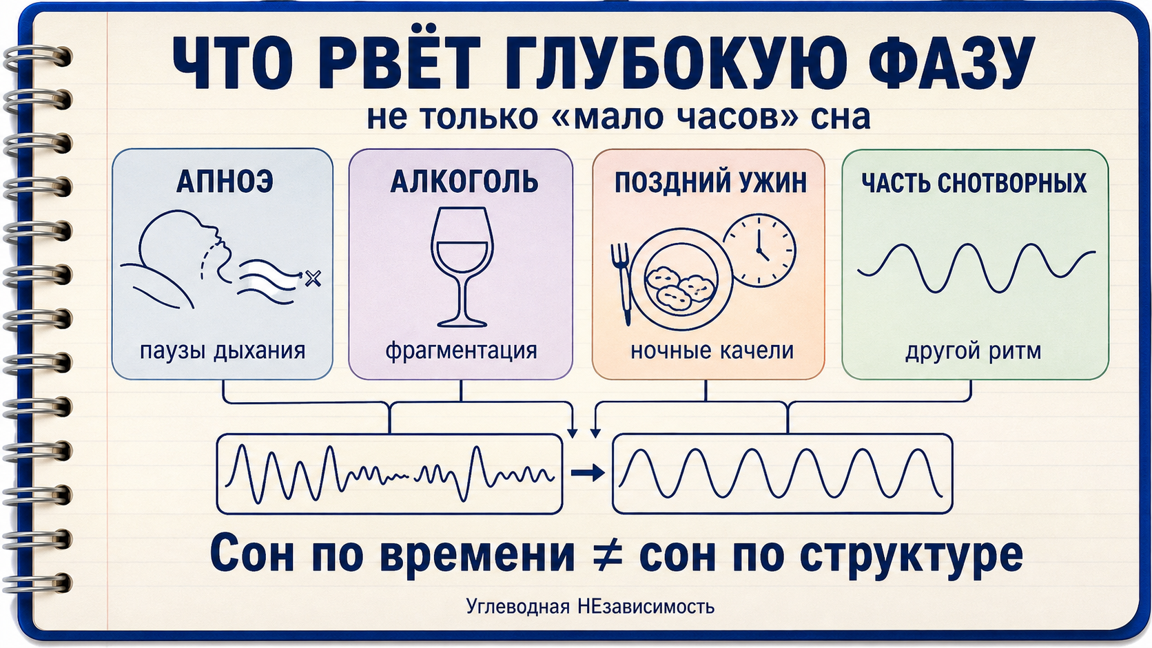 Что рвёт глубокую фазу: апноэ, алкоголь, поздний ужин и часть снотворных меняют структуру сна
