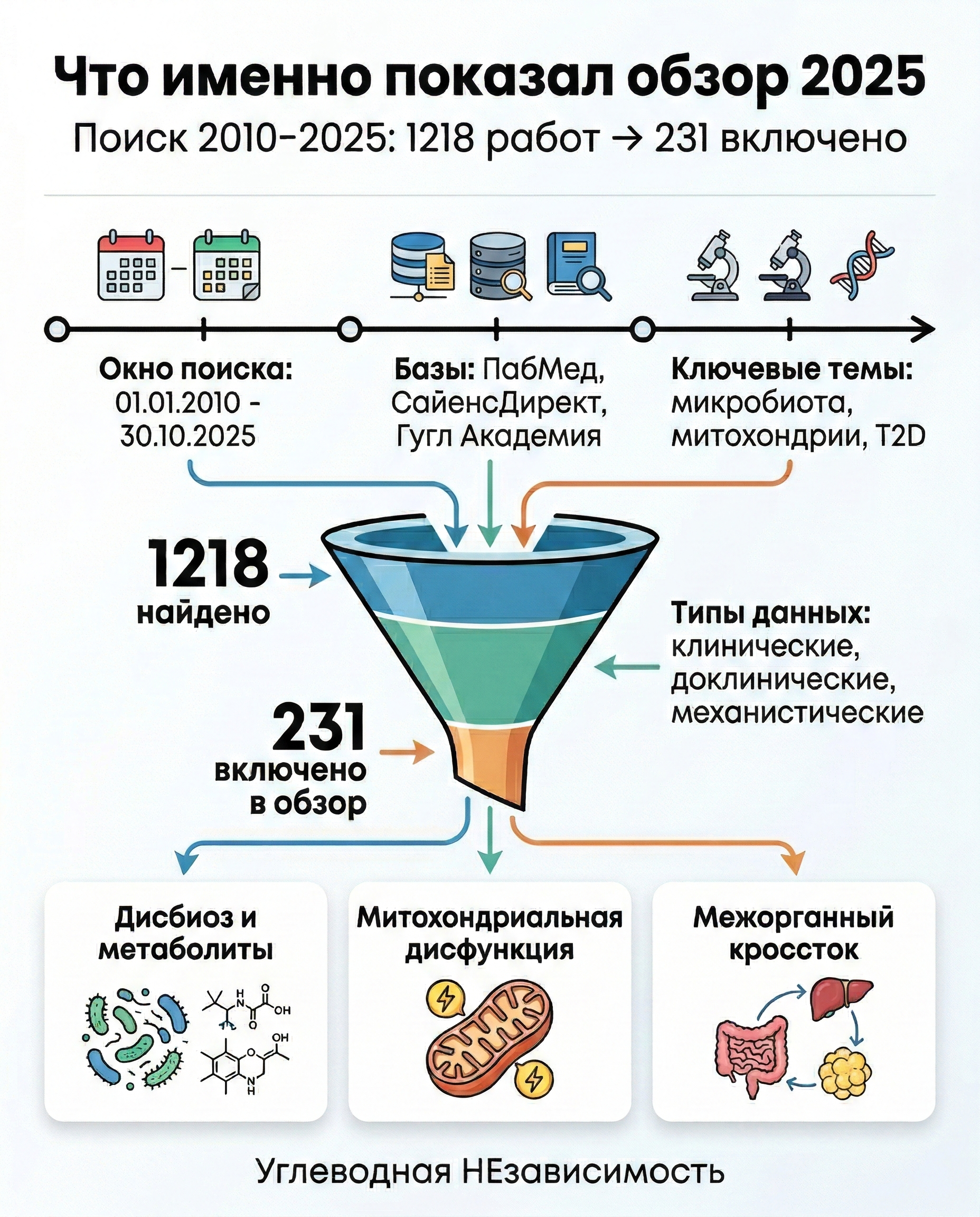 Что именно разобрал обзор (1218 -> 231)