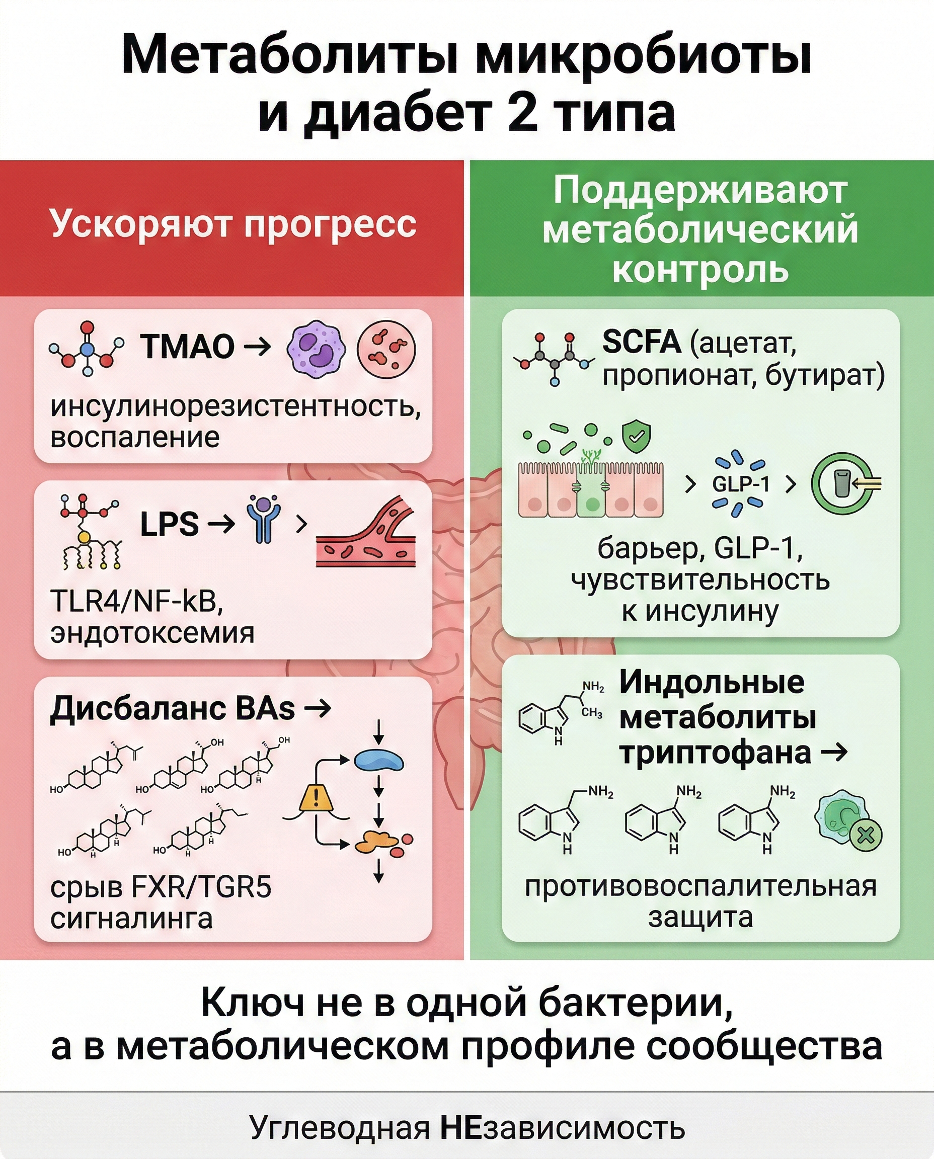 Метаболиты: что толкает диабет вперед, а что тормозит