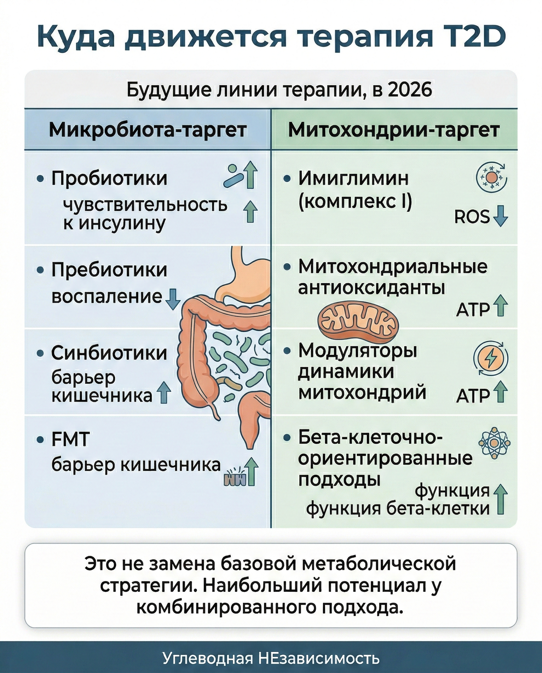 Терапевтическая матрица: микробиота + митохондрии