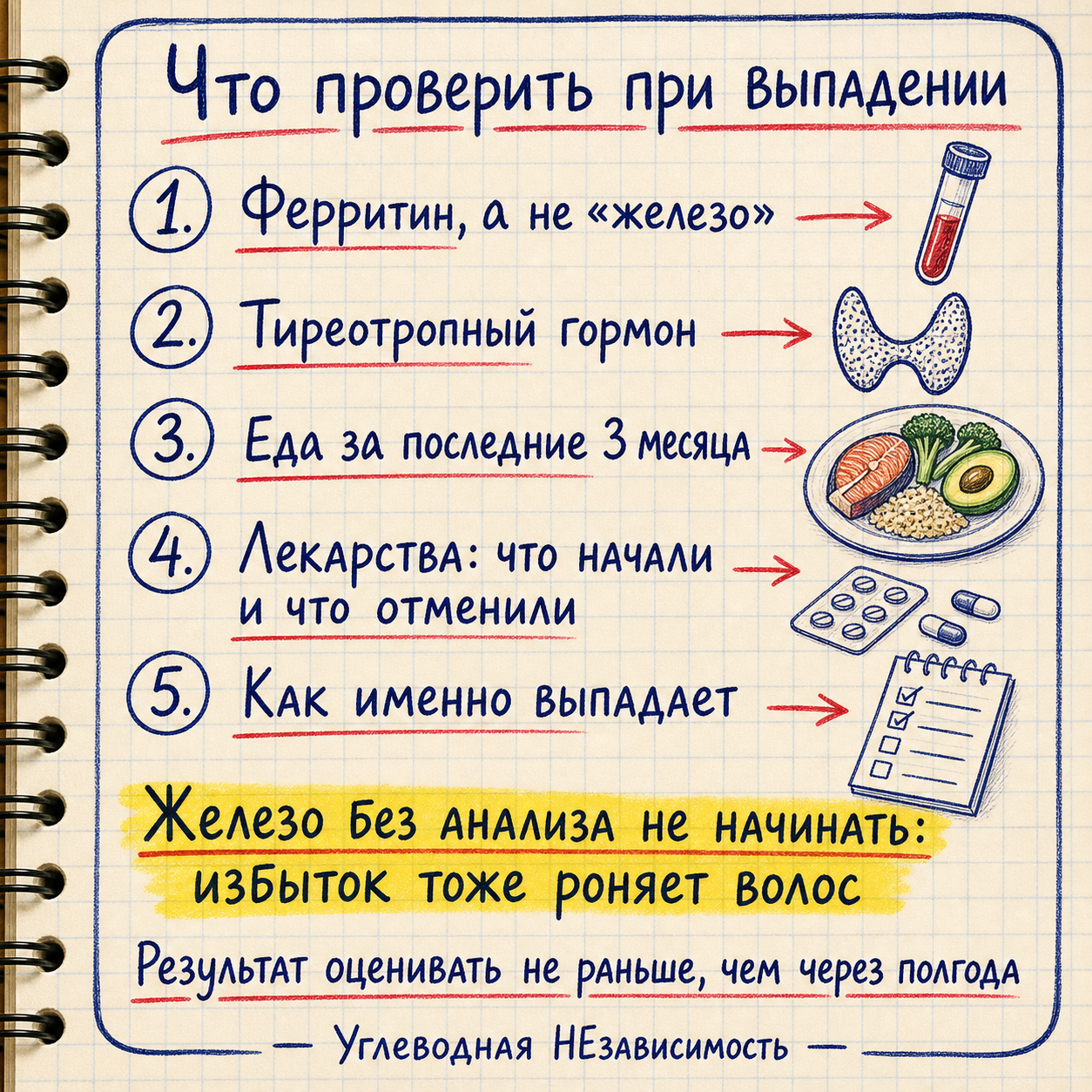 Пять пунктов при выпадении волос