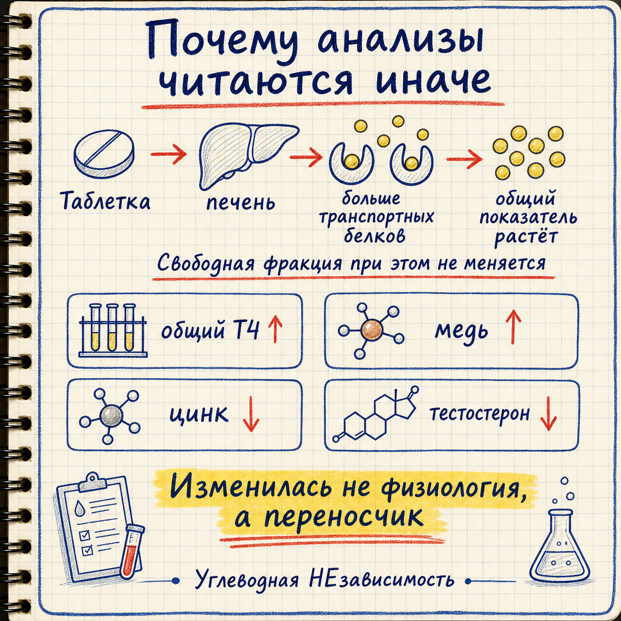 Почему на фоне контрацепции анализы читаются иначе