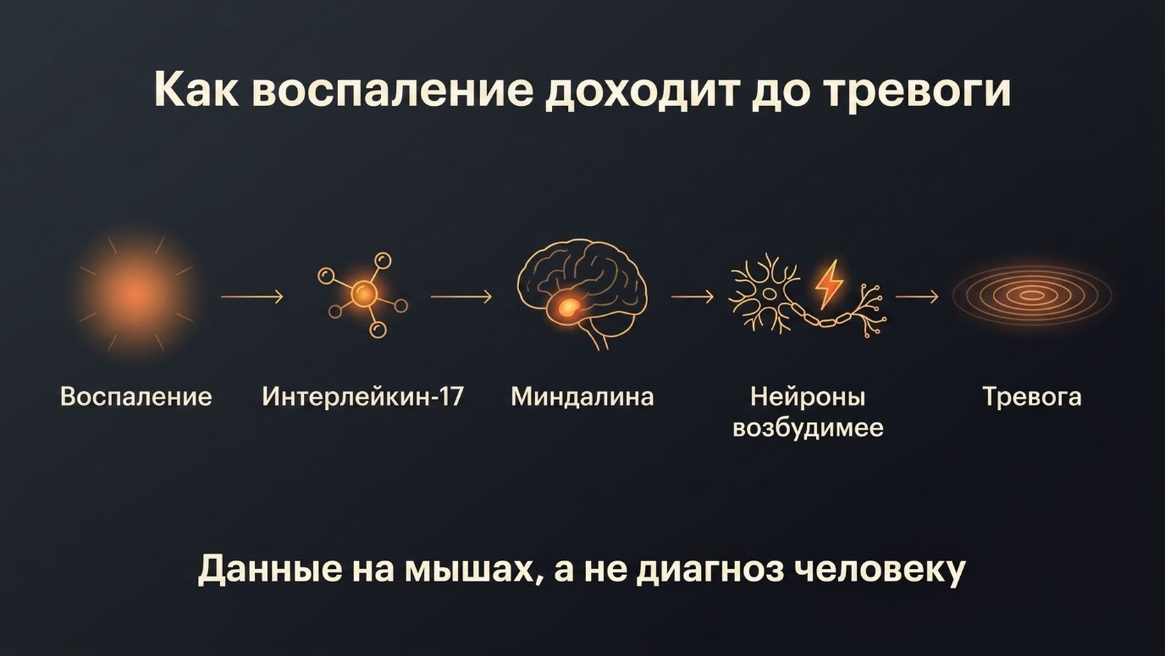 Путь от воспаления до центра тревоги