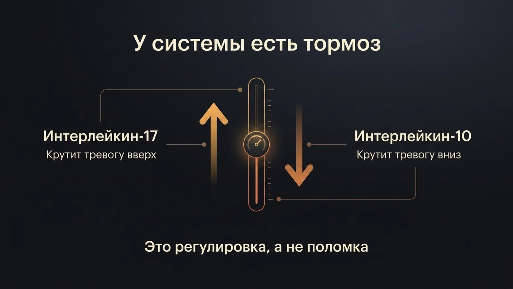 Интерлейкин-17 и интерлейкин-10: настройка в обе стороны